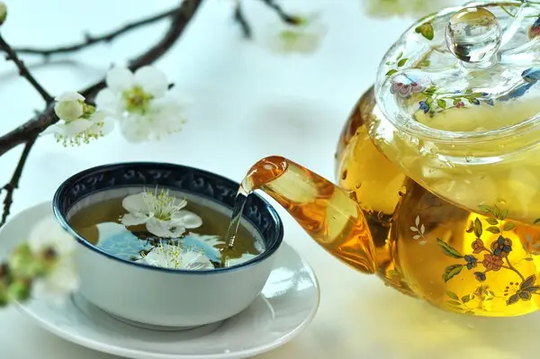 news_img_20260219221306_11380-1 news_img_20260219221306_11380-1