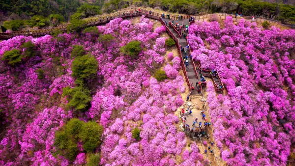 news_img_20260323000909_36002-1 news_img_20260323000909_36002-1