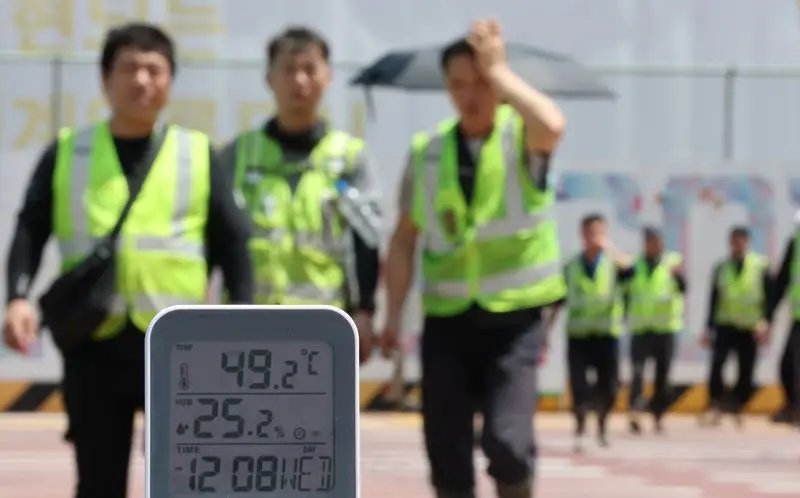 하루 200명이 쓰러졌다… '극한 폭염'에 멈춰 선 대한민국