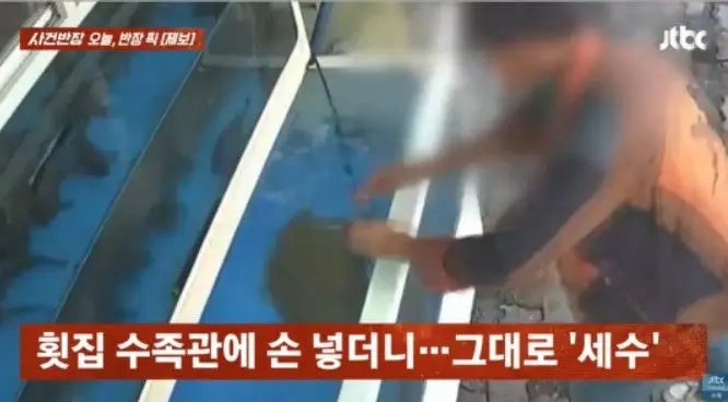 "물비린내 심한데 어떻게 참는지"…횟집 수족관 물로 세수한 남성